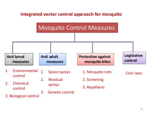 mosquito-control-in-coimbatore-eco-pest-control-people