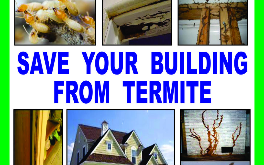 Termite Control Coimbatore